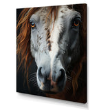 Grey Brown Horse Serenity - Horse Canvas Wall Art