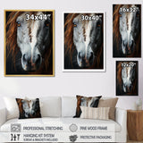 Grey Brown Horse Serenity - Horse Canvas Wall Art