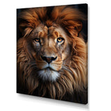 Animal Lion Portrait II - Animals Canvas Wall Art