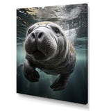 Grey Teal Animal Manatee - Manatee Wall Art Prints