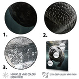 Grey Teal Animal Manatee - Manatee Wall Art Prints