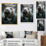 Grey Teal Animal Manatee - Manatee Wall Art Prints