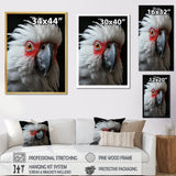 White Coral Animal Parrot - Parrot Canvas Wall Art