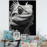 Grey Reptile Amphibian Portrait - Gray Reptile Wall Art