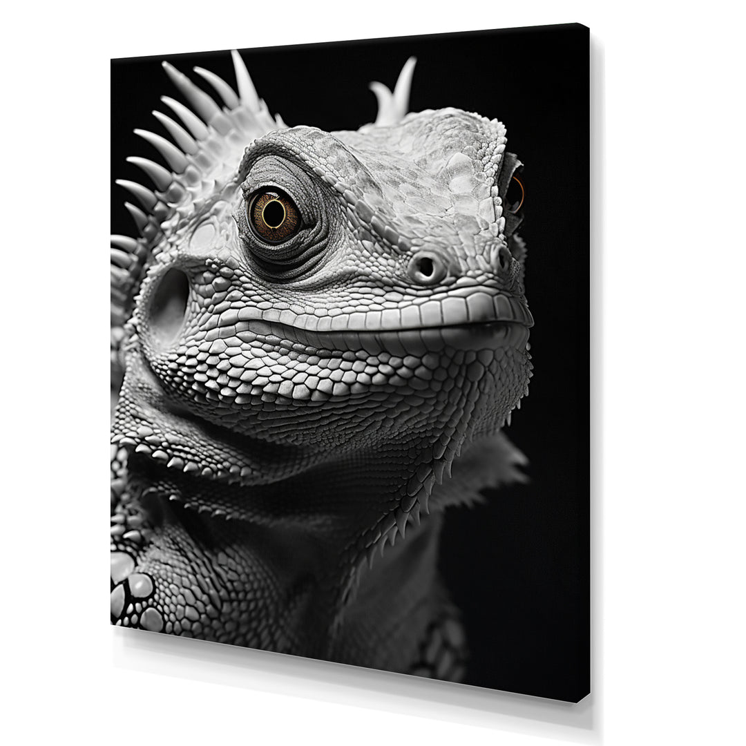 Grey Reptile Amphibian Portrait - Gray Reptile Wall Art