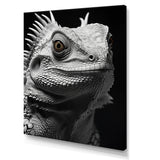 Grey Reptile Amphibian Portrait - Gray Reptile Wall Art