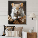 Cute Rodent - Rodent Framed Canvas Art