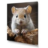 Cute Rodent - Rodent Framed Canvas Art