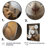 Cute Rodent - Rodent Framed Canvas Art