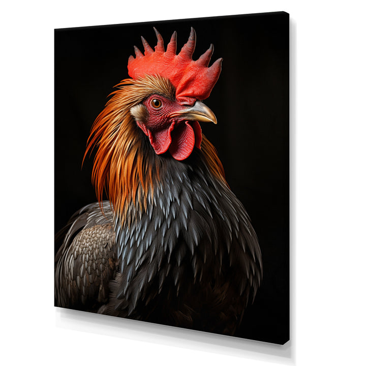 Black Rooster Portrait - Rooster Large Canvas Wall Art