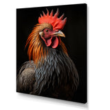 Black Rooster Portrait - Rooster Large Canvas Wall Art
