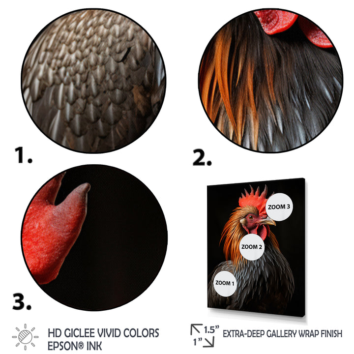 Black Rooster Portrait - Rooster Large Canvas Wall Art