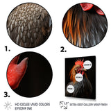 Black Rooster Portrait - Rooster Large Canvas Wall Art