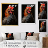 Black Rooster Portrait - Rooster Large Canvas Wall Art