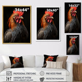 Black Rooster Portrait - Rooster Large Canvas Wall Art