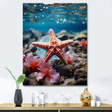 Coral Teal Starfish - Starfish Wall Decor