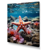 Coral Teal Starfish - Starfish Wall Decor
