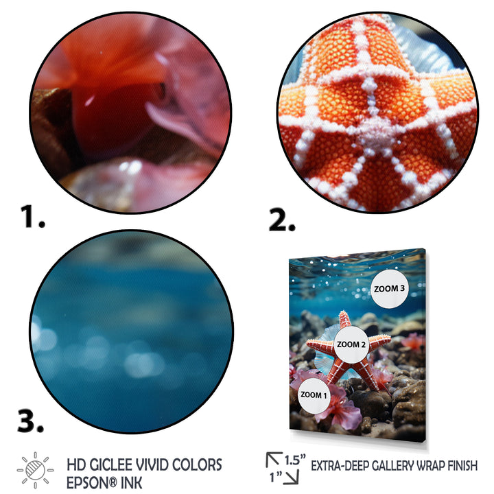 Coral Teal Starfish - Starfish Wall Decor