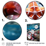 Coral Teal Starfish - Starfish Wall Decor