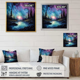 Aurora Borealis Dancing Lights VIII - Landscapes Canvas Wall Art