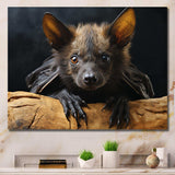 Bat Portrait I - Animals Canvas Wall Art