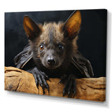 Bat Portrait I - Animals Canvas Wall Art