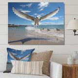 Blue Seagulls In Flight At Beach - Seagull Living Room Wall Art