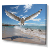 Blue Seagulls In Flight At Beach - Seagull Living Room Wall Art