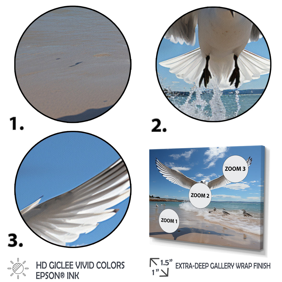 Blue Seagulls In Flight At Beach - Seagull Living Room Wall Art