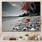 Grey Red Beach Seashell Symphony - Seashell Canvas Wall Art