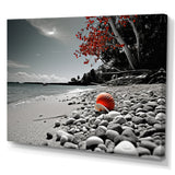 Grey Red Beach Seashell Symphony - Seashell Canvas Wall Art