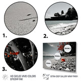 Grey Red Beach Seashell Symphony - Seashell Canvas Wall Art
