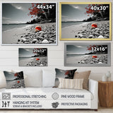 Grey Red Beach Seashell Symphony - Seashell Canvas Wall Art