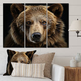 Bear Portrait - Multi-Panels