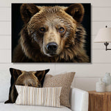 Bear Portrait - Animals Canvas Wall Art