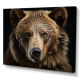 Bear Portrait - Animals Canvas Wall Art