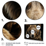 Bear Portrait - Multi-Panels