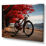 Bicycle Silent Journey I - Bicycle Canvas Wall Art