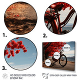 Bicycle Silent Journey I - Bicycle Canvas Wall Art