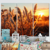 Birds Of Paradise Field VIII - 3-Piece Canvas Wall Art