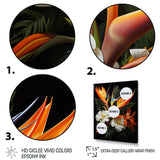 Birds Of Paradise Paradise I - Floral Canvas Wall Art