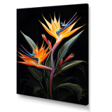 Birds Of Paradise Paradise II - Floral Canvas Wall Art