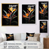 Birds Of Paradise Paradise II - Floral Canvas Wall Art