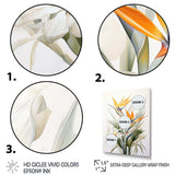 Birds Of Paradise Paradise III - Floral Canvas Wall Art