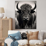 Bison Bison Grazing - Animals Canvas Wall Art