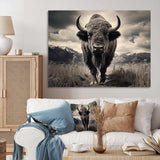 Bison Majestic Bison - Animals Canvas Wall Art