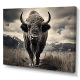 Bison Majestic Bison - Animals Canvas Wall Art