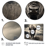 Bison Majestic Bison - Multi-Panels