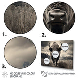 Bison Majestic Bison - Animals Canvas Wall Art