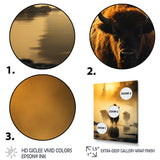 Yellow Black Buffalo Ethereal Grazing - Buffalo Canvas Wall Art